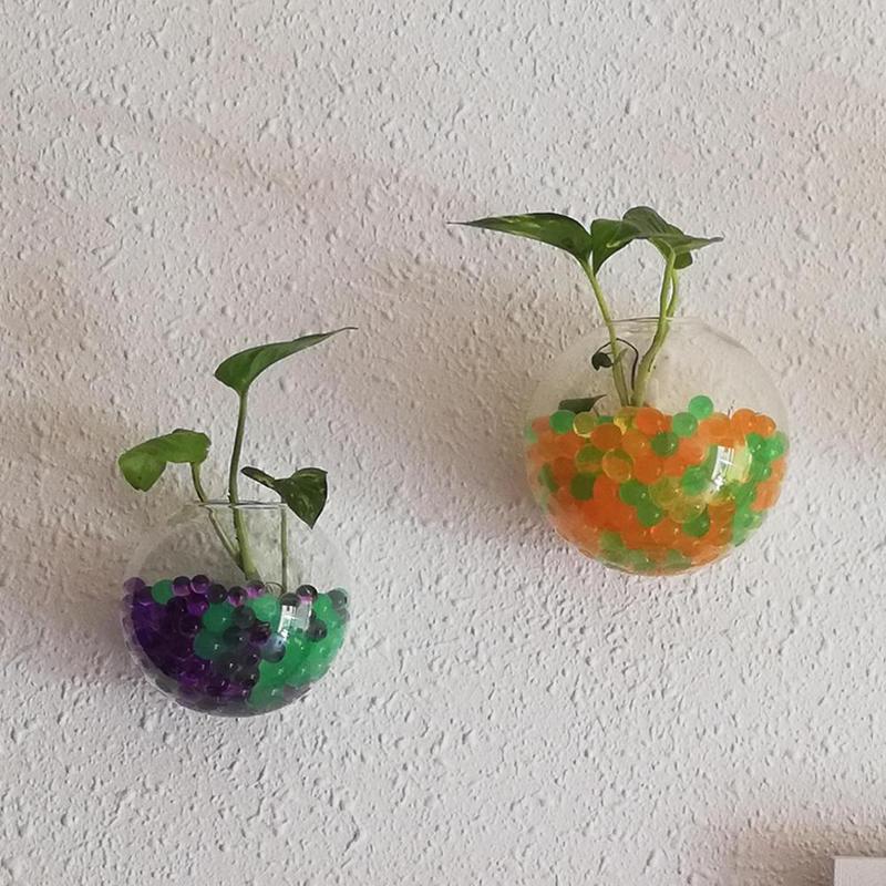 Creative Wall Mounted Glass Va - مراجعة Aquarium Plant Vine وسعره