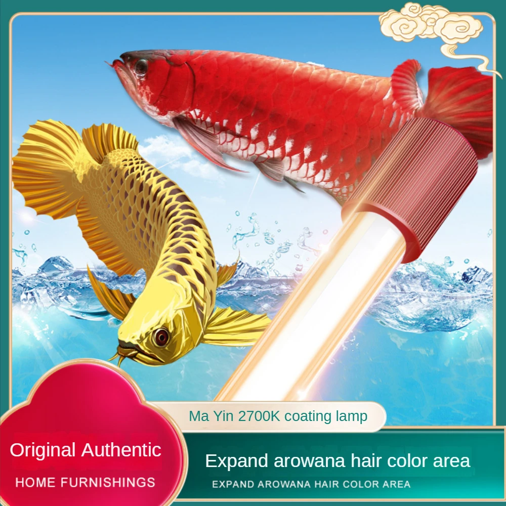 Glass Arowana Fish Tank Light, - مراجعة Planted Aquarium Yellow Water وسعره