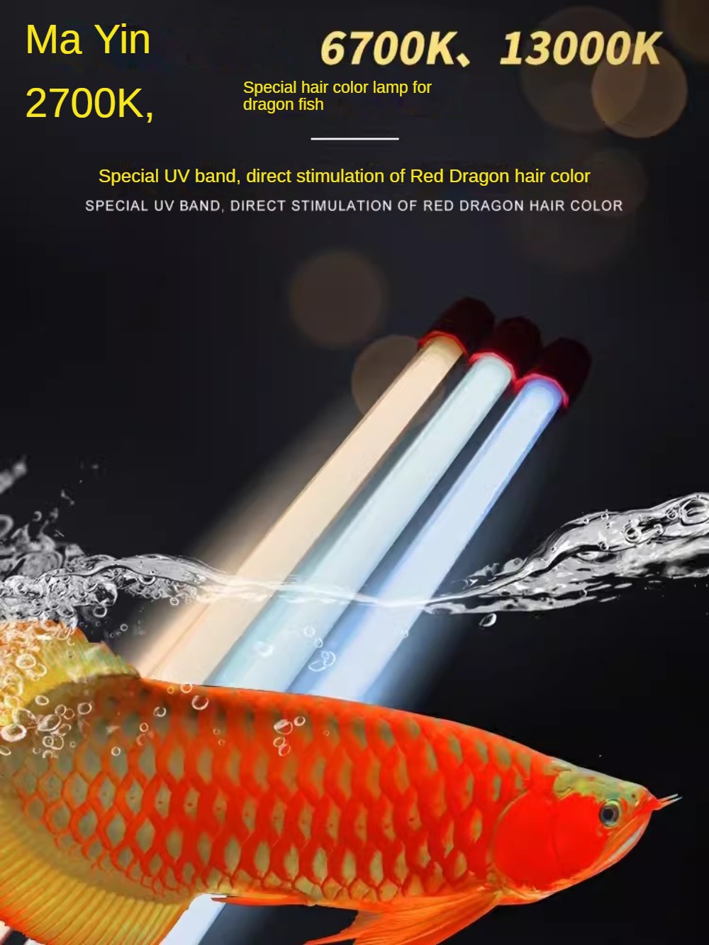 Glass Arowana Fish Tank Light, - مراجعة Planted Aquarium Yellow Water وسعره