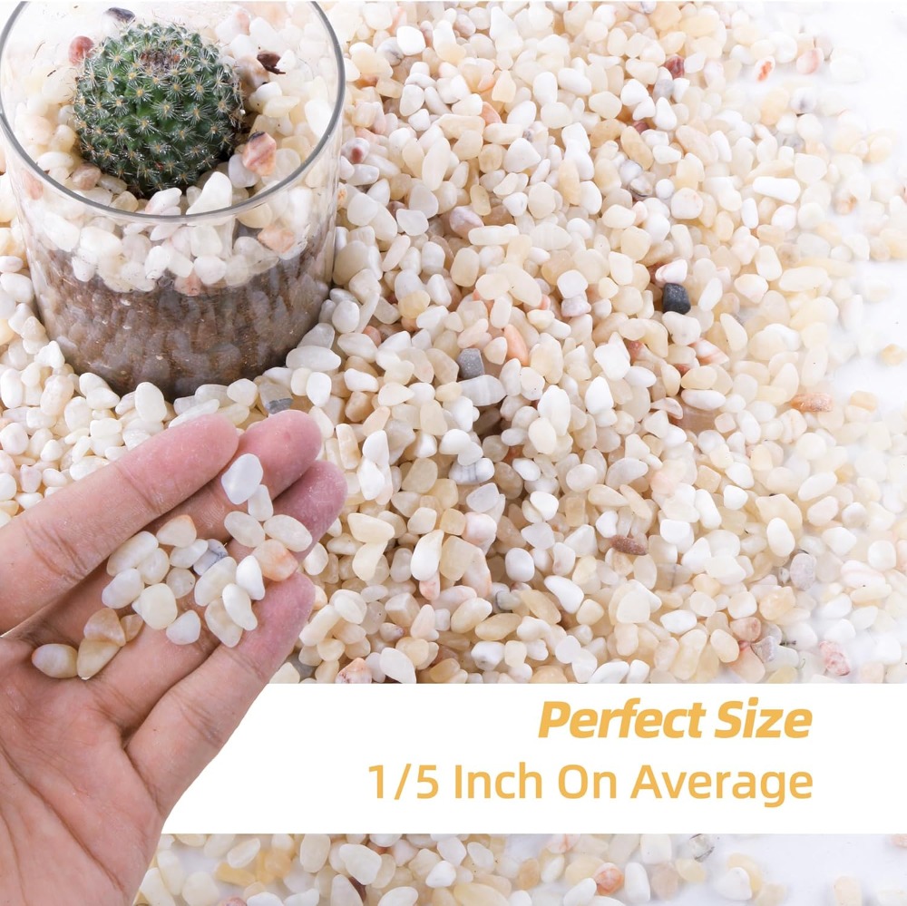 2.4lb Natural River Rocks for  - مراجعة Planted Aquarium With Rocks وسعره