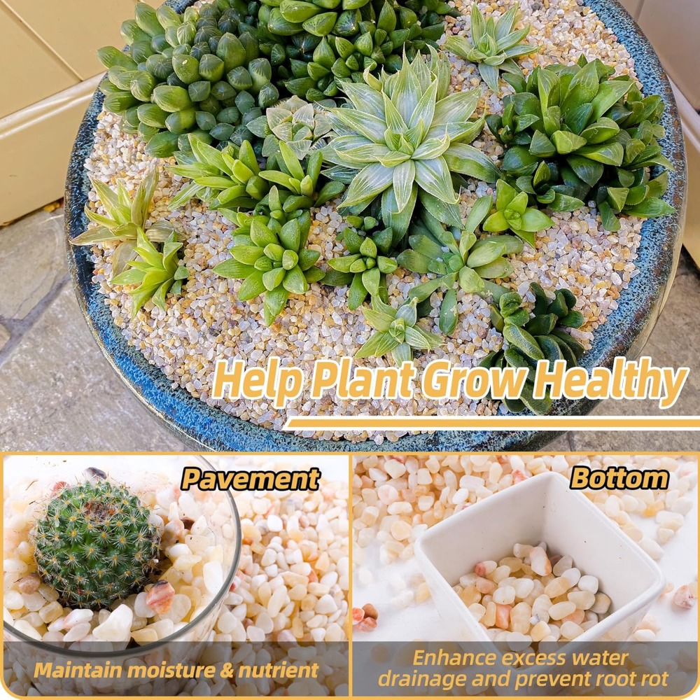 2.4lb Natural River Rocks for  - مراجعة Planted Aquarium With Rocks وسعره