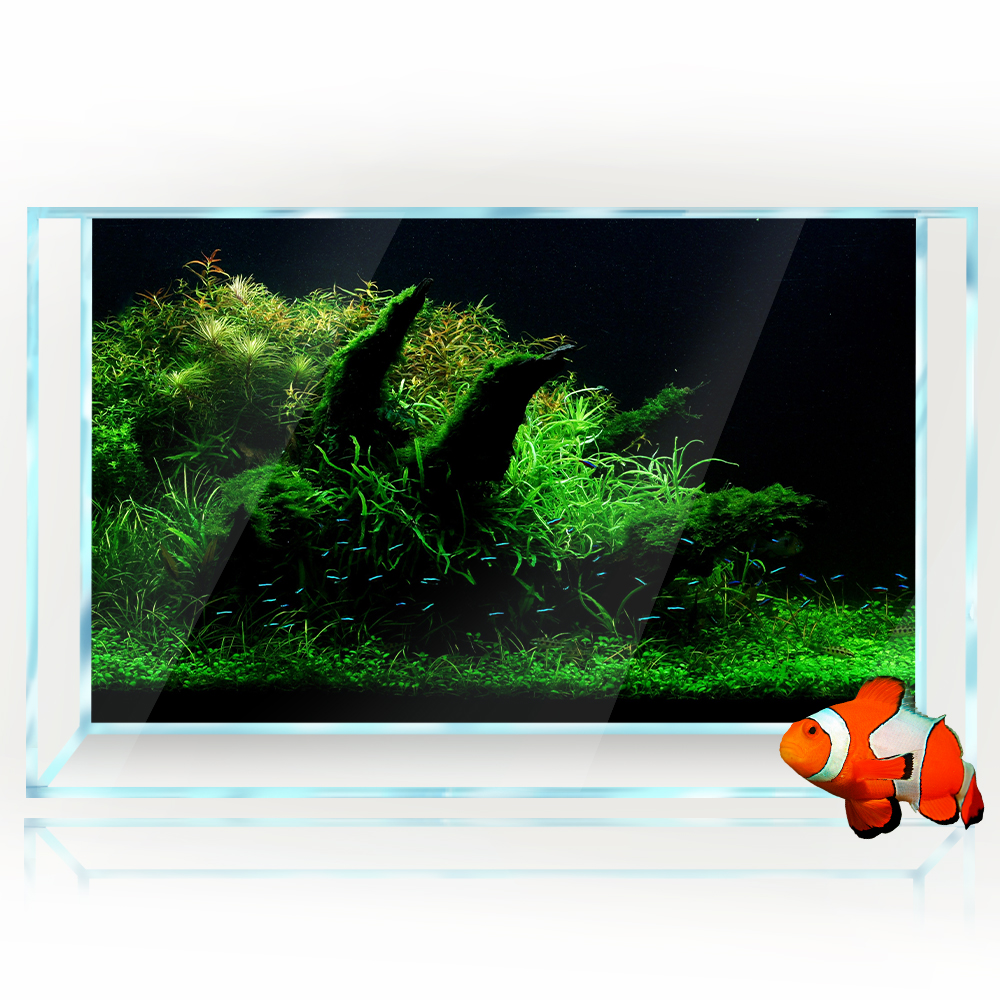 Aquarium Background Fish Tank  - مراجعة Aquarium Planted Background وسعره