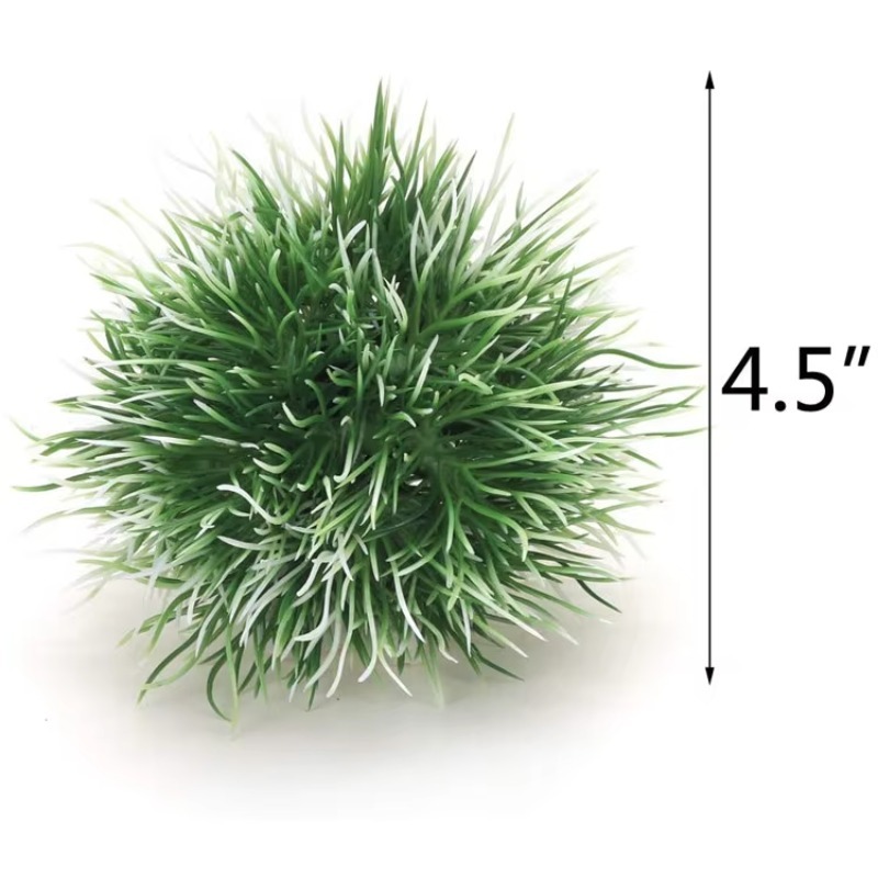 10pcs Hot Selling New Arrival  - مراجعة Planted Aquarium With Rocks وسعره