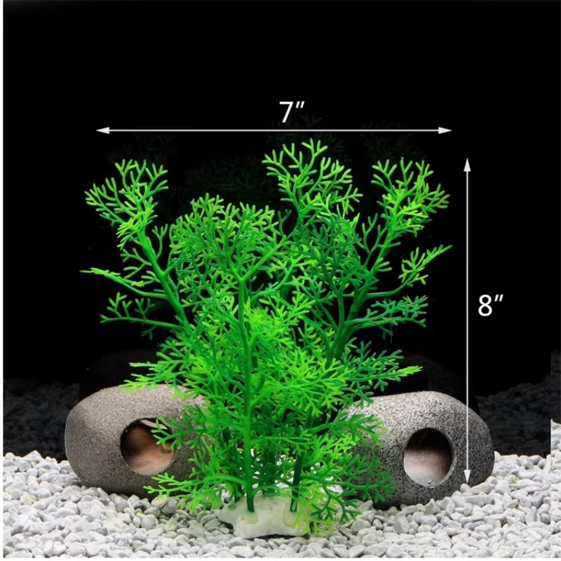10pcs Hot Selling New Arrival  - مراجعة Planted Aquarium With Rocks وسعره