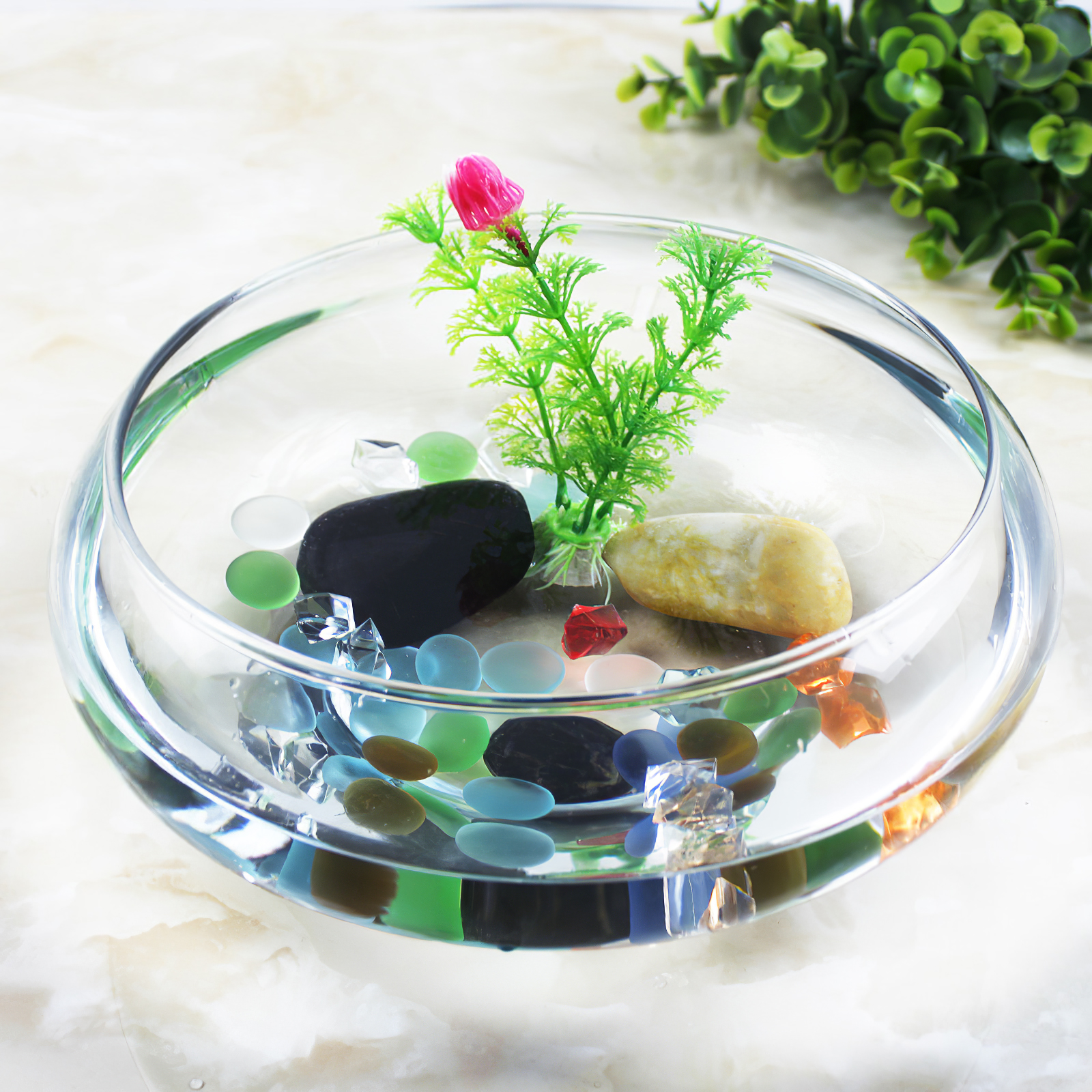 Aquarium Tank 2800ml Fish Tank - مراجعة Planted Aquarium Bowl وسعره