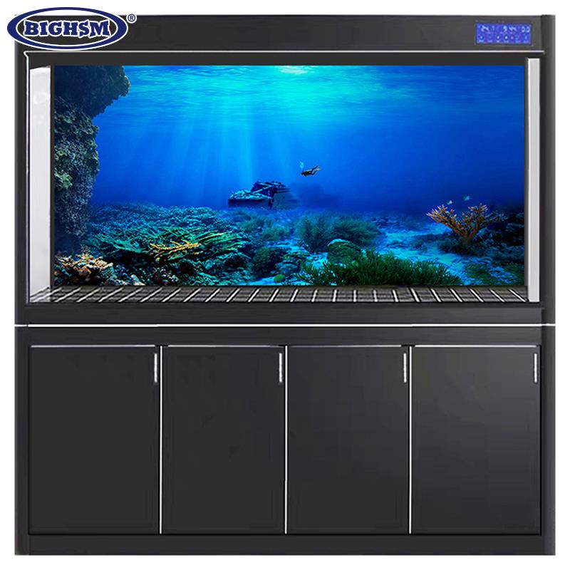 1Pcs Fish Tank Background Deco - مراجعة Aquarium Planted Background وسعره