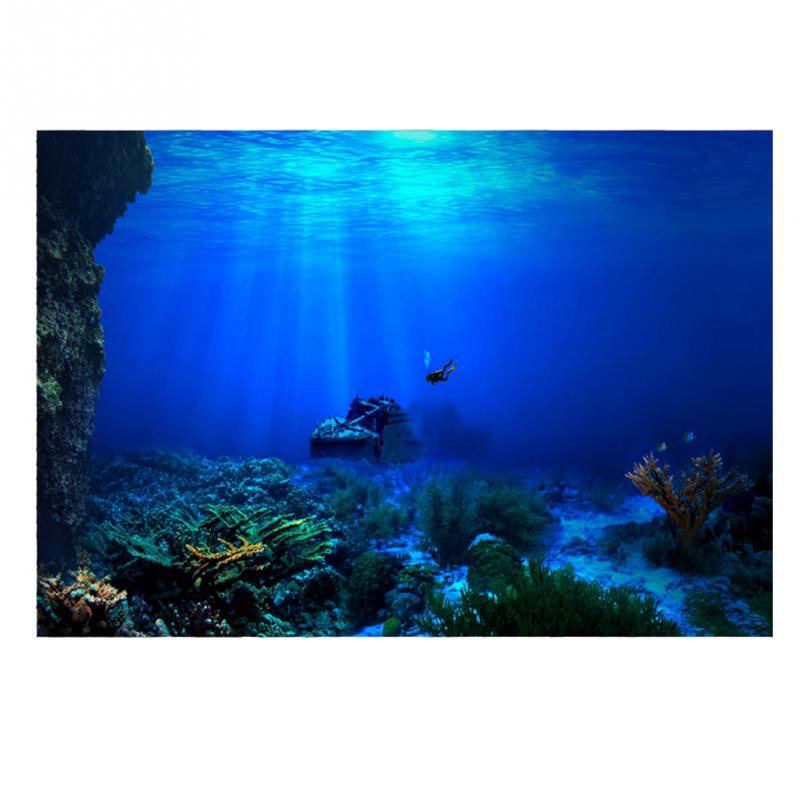 1Pcs Fish Tank Background Deco - مراجعة Aquarium Planted Background وسعره