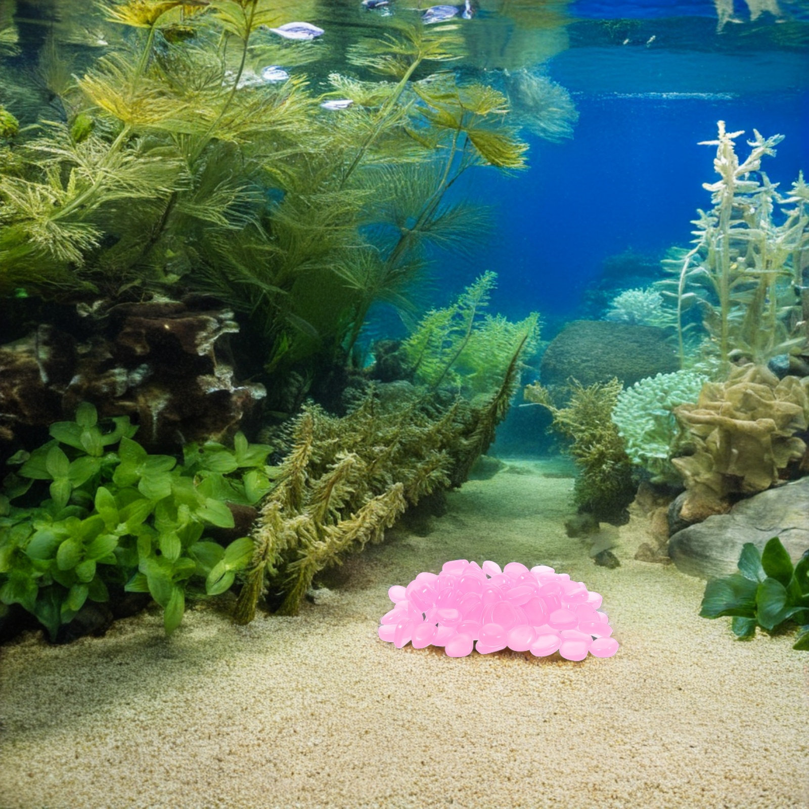 400Pcs Night Glow Stones Lumin - مراجعة Planted Aquarium With Fish وسعره