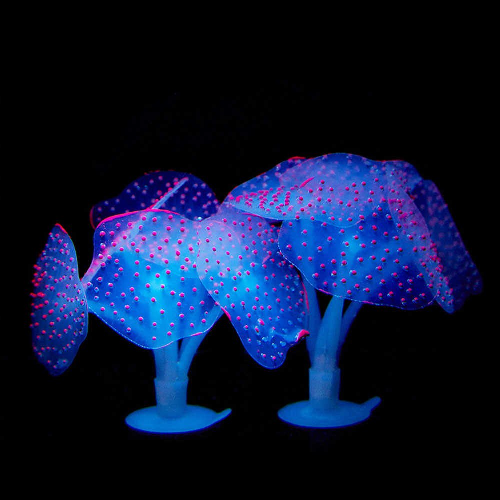 1Pcs Luminous Anemone Artifici - مراجعة Planted Aquarium With Fish وسعره