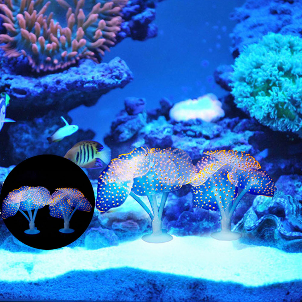1Pcs Luminous Anemone Artifici - مراجعة Planted Aquarium With Fish وسعره
