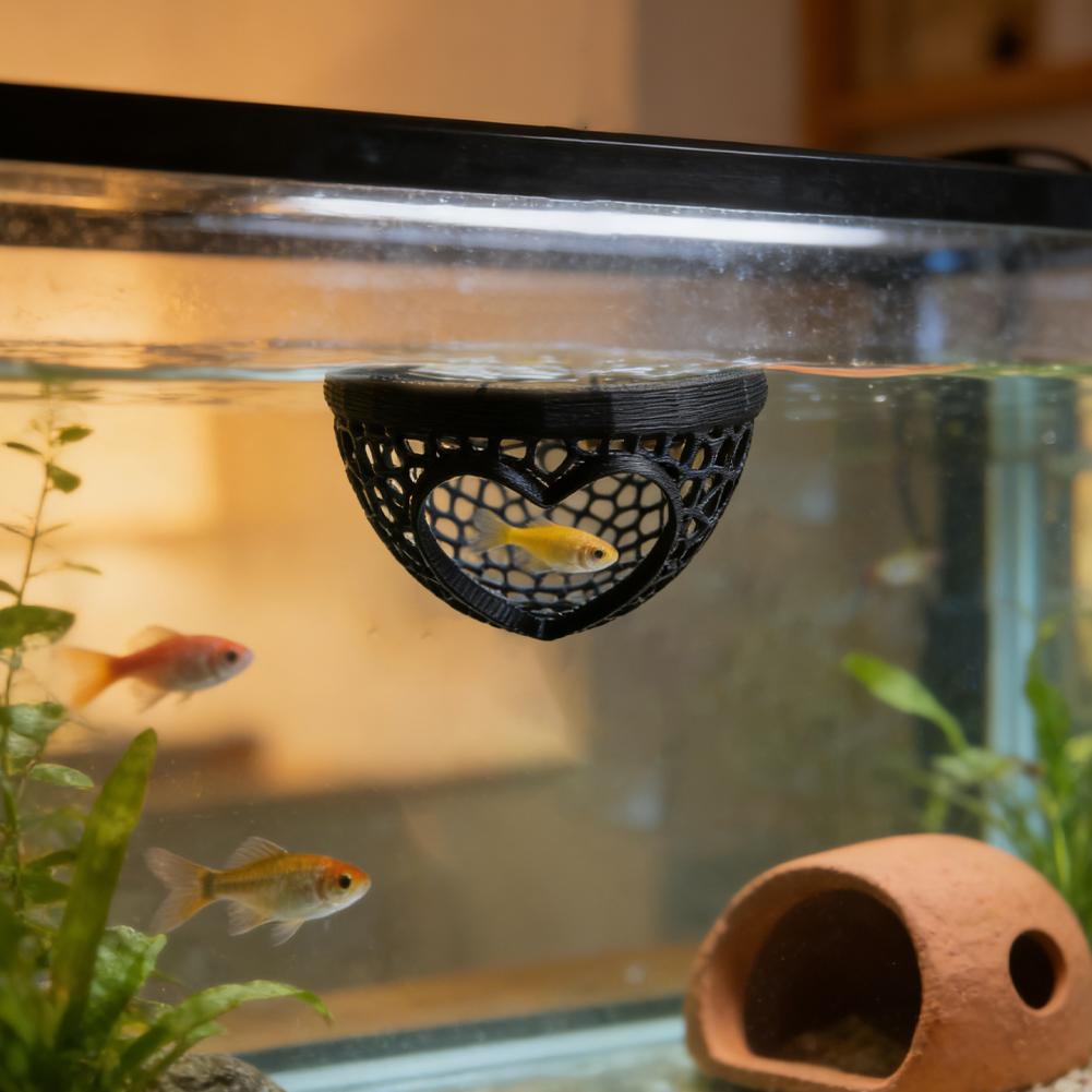 Heart-Shaped Aquarium Hideaway - مراجعة Planted Aquarium Without Fish وسعره