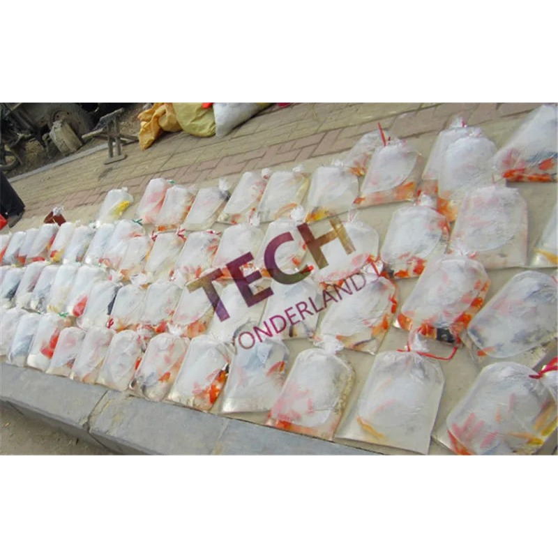 100PCS High Quality Breathing  - مراجعة Planted Aquarium Bowl وسعره