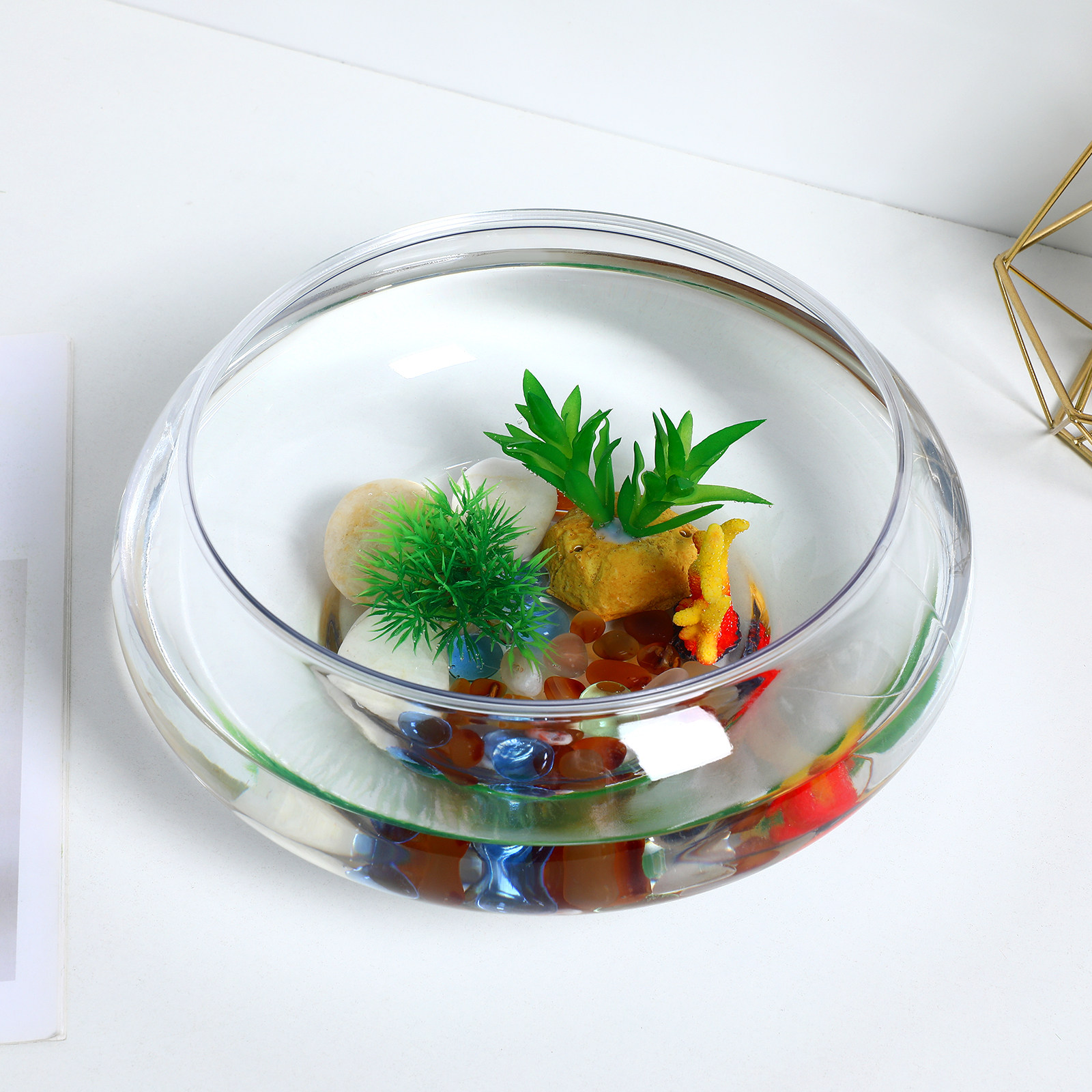 Transparent Aquarium Tank Plas - مراجعة Planted Aquarium Bowl وسعره