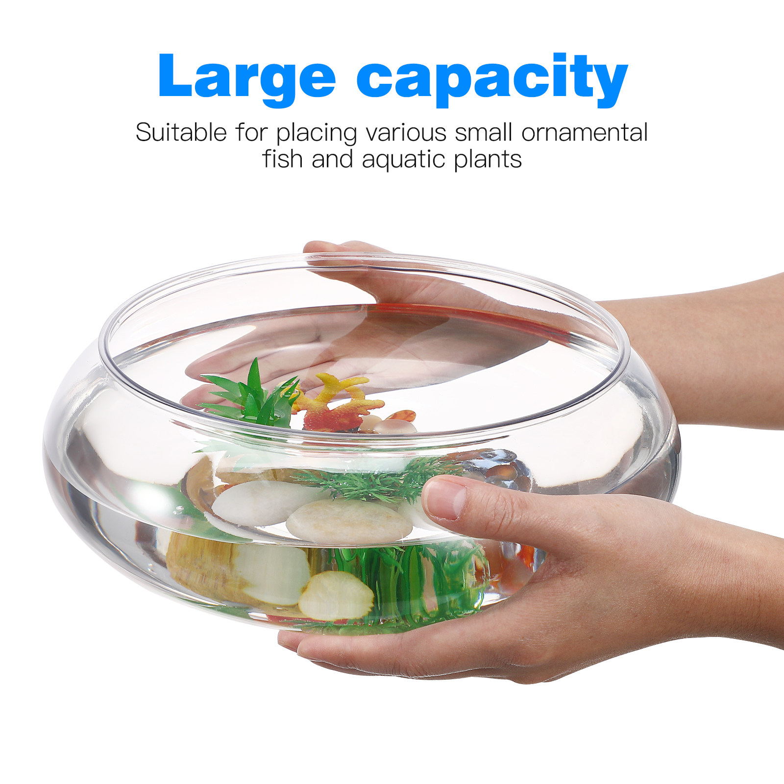 Transparent Aquarium Tank Plas - مراجعة Planted Aquarium Bowl وسعره