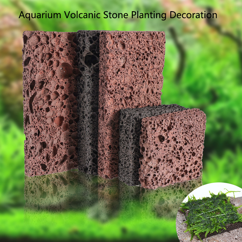 Volcanic Aquarium Decoration F - مراجعة Aquarium Planted Background وسعره