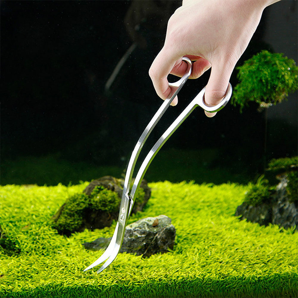 Aquarium Accessories Hard Stai - مراجعة Planted Aquarium Tool Kit وسعره