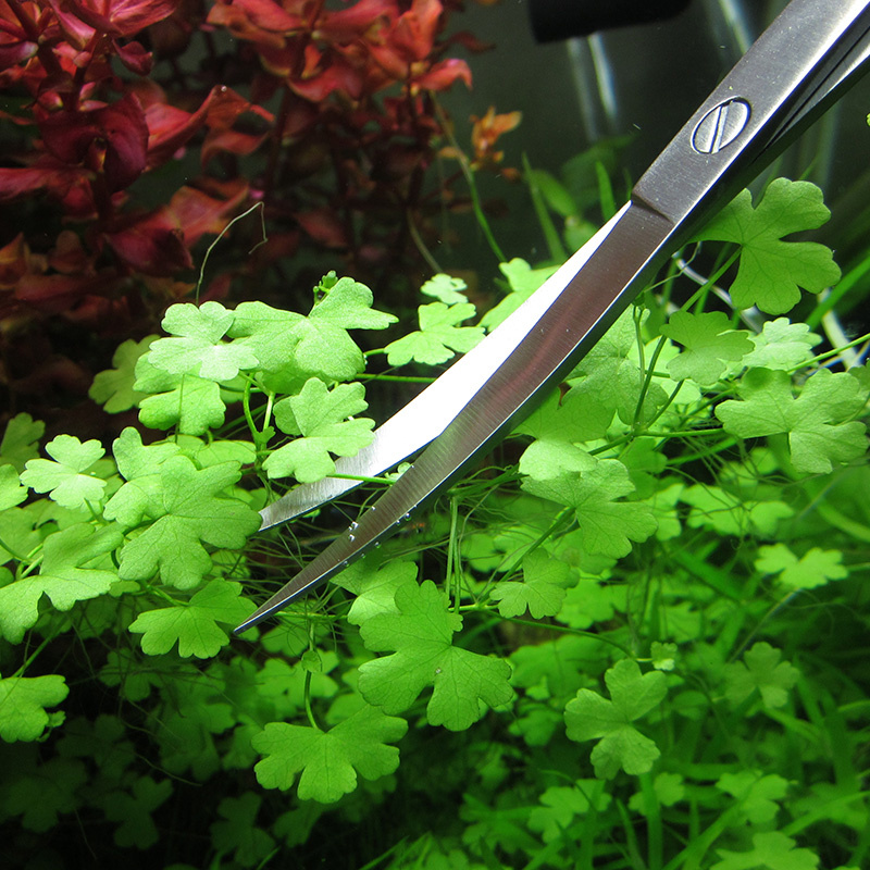 Aquarium Accessories Hard Stai - مراجعة Planted Aquarium Tool Kit وسعره