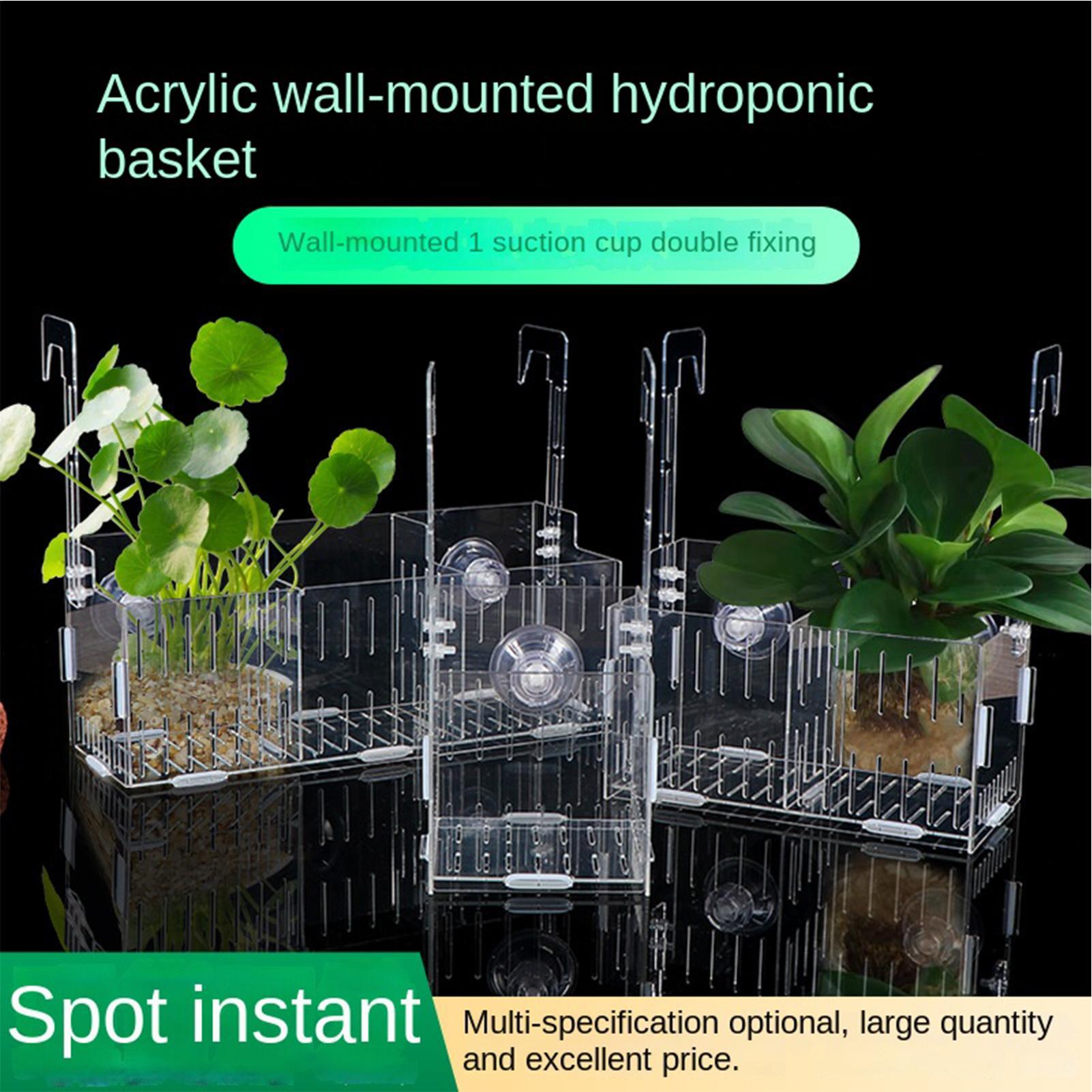 Acrylic Aquarium Plant Holder  - مراجعة Aquarium Plant Vine وسعره