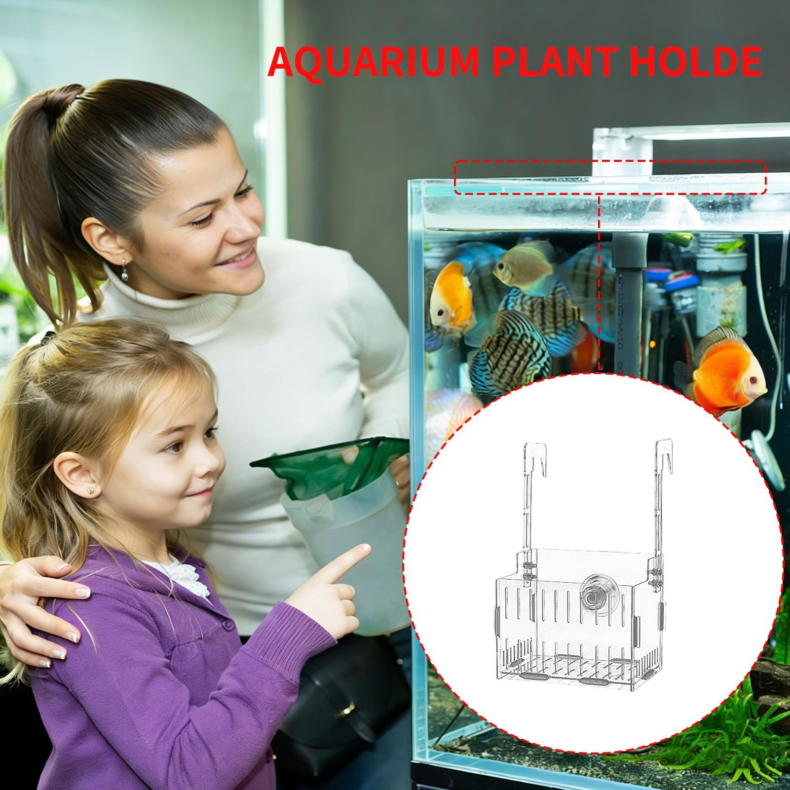 Acrylic Aquarium Plant Holder  - مراجعة Aquarium Plant Vine وسعره