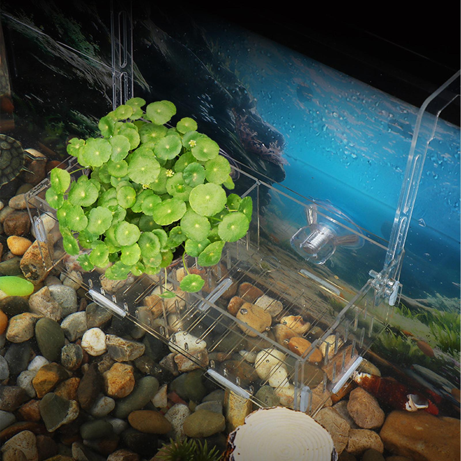Acrylic Aquarium Plant Holder  - مراجعة Aquarium Plant Vine وسعره