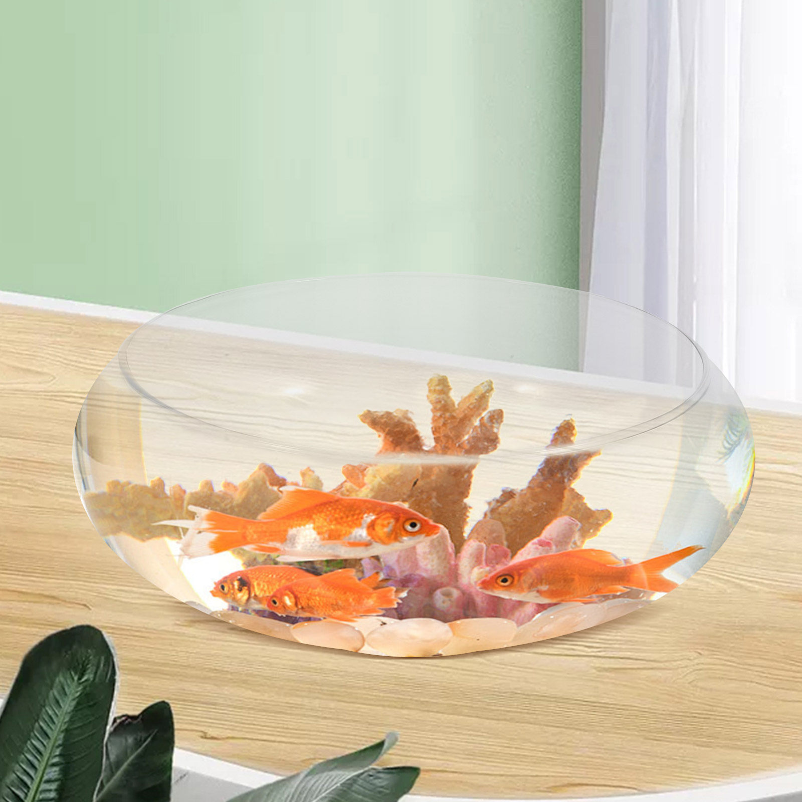 Glass Round Fish Bowl Desktop  - مراجعة Planted Aquarium Bowl وسعره