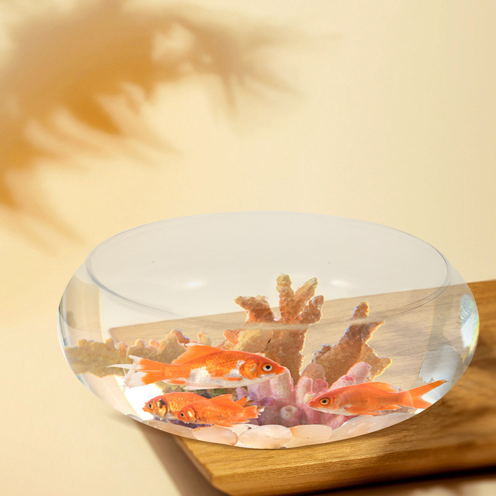 Glass Round Fish Bowl Desktop  - مراجعة Planted Aquarium Bowl وسعره