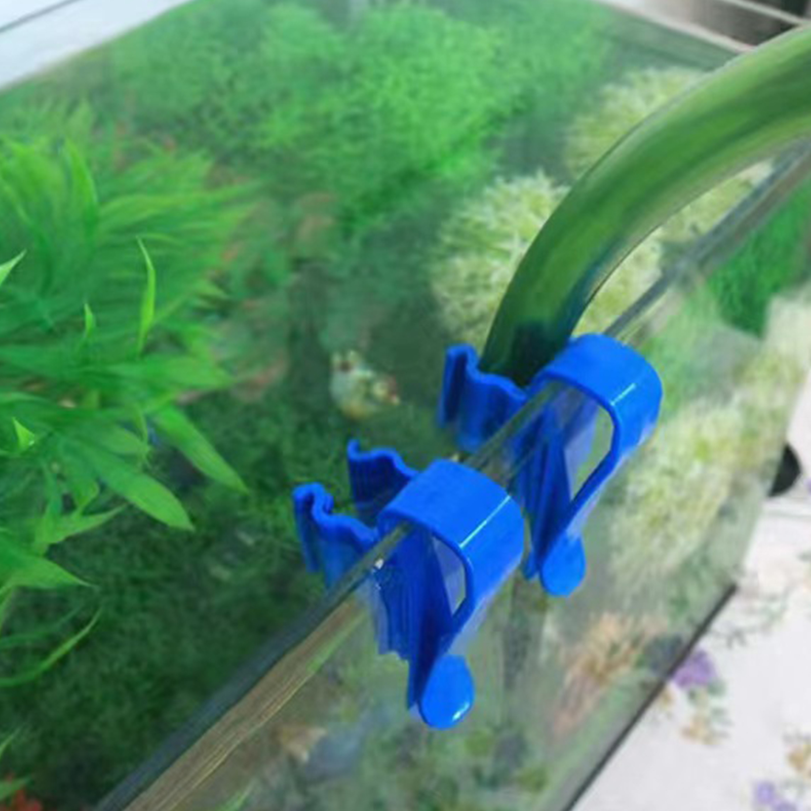 Aquarium Tube Holder Clip Fish - مراجعة Planted Aquarium Tool Kit وسعره