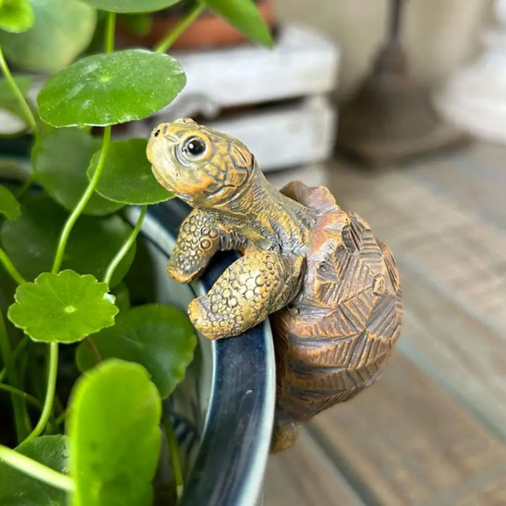 Fishing Turtle Hanging Turtle  - مراجعة Planted Aquarium With Fish وسعره