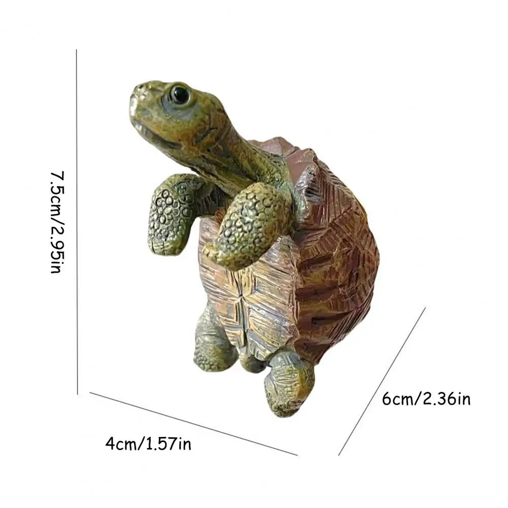 Fishing Turtle Hanging Turtle  - مراجعة Planted Aquarium With Fish وسعره