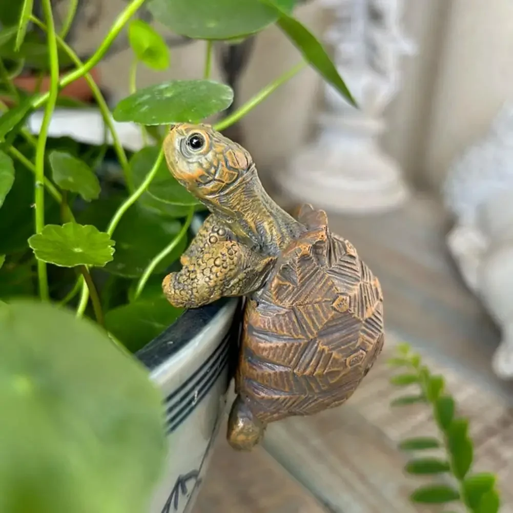 Fishing Turtle Hanging Turtle  - مراجعة Planted Aquarium With Fish وسعره