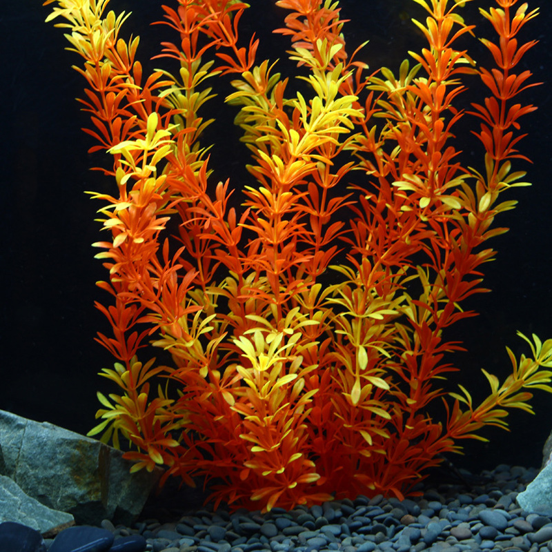 100cm Tropical Plants Large Ar - مراجعة Planted Aquarium With Fish وسعره