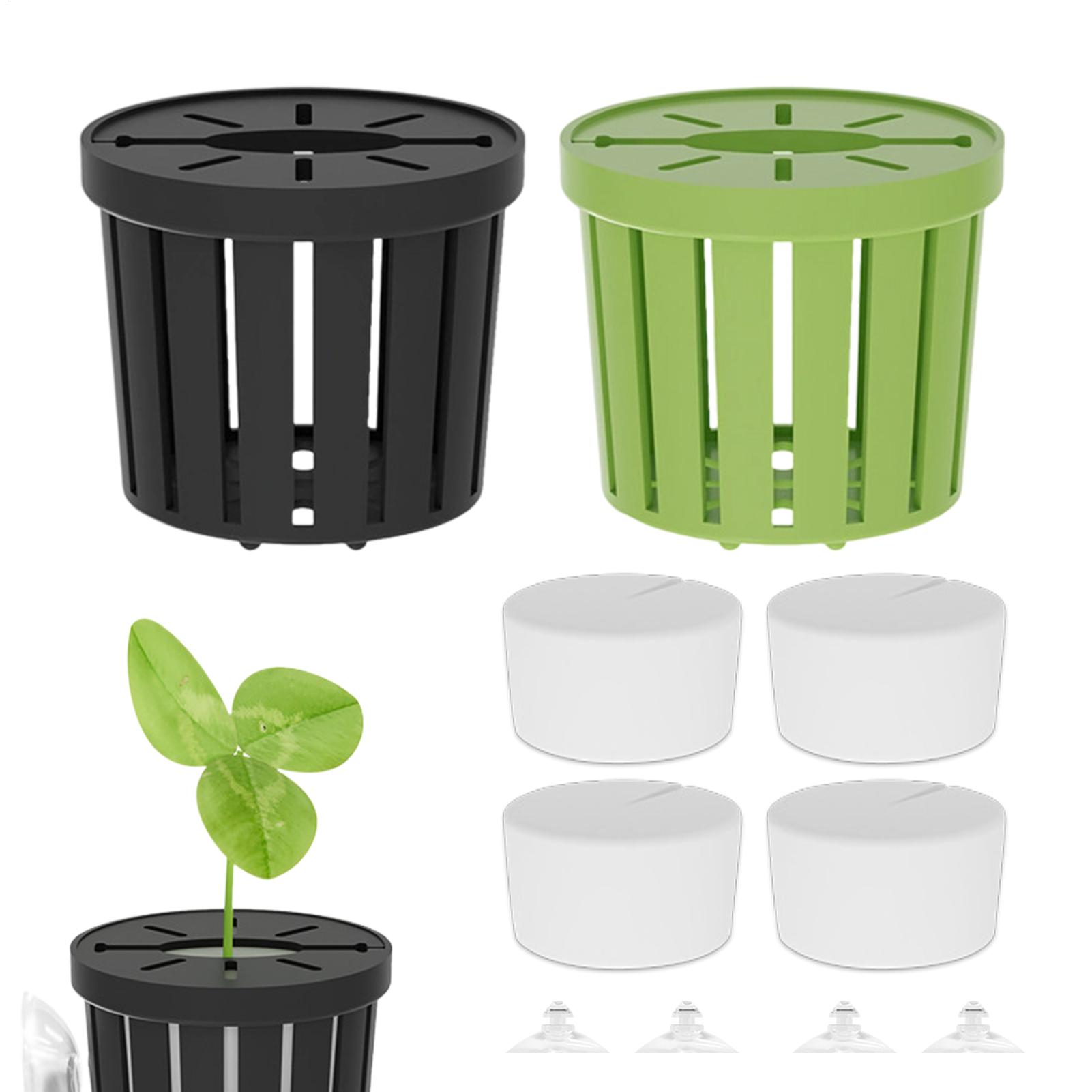 4Pcs Aquatic Plants Fixed Set  - مراجعة Aquarium Planted Background وسعره