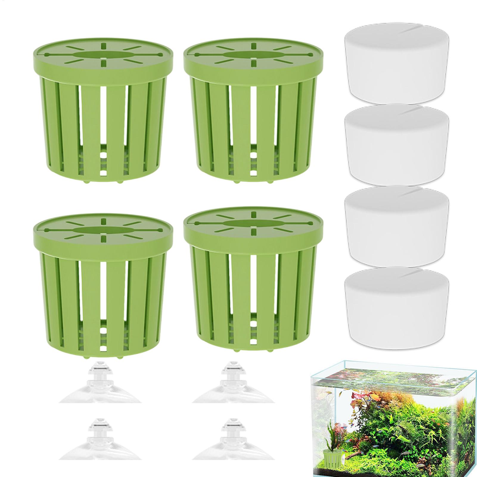 4Pcs Aquatic Plants Fixed Set  - مراجعة Aquarium Planted Background وسعره