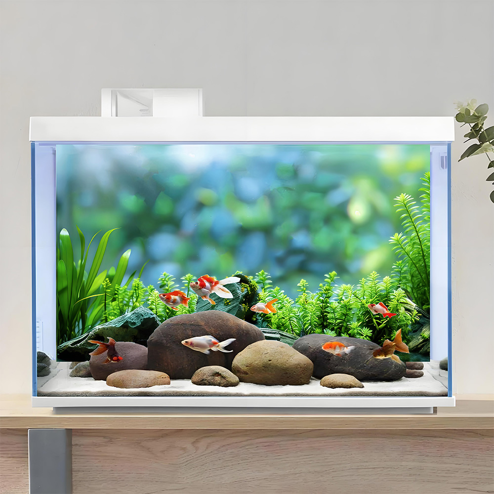 Rock and aquatic plants,Fish t - مراجعة Aquarium Planted Background وسعره