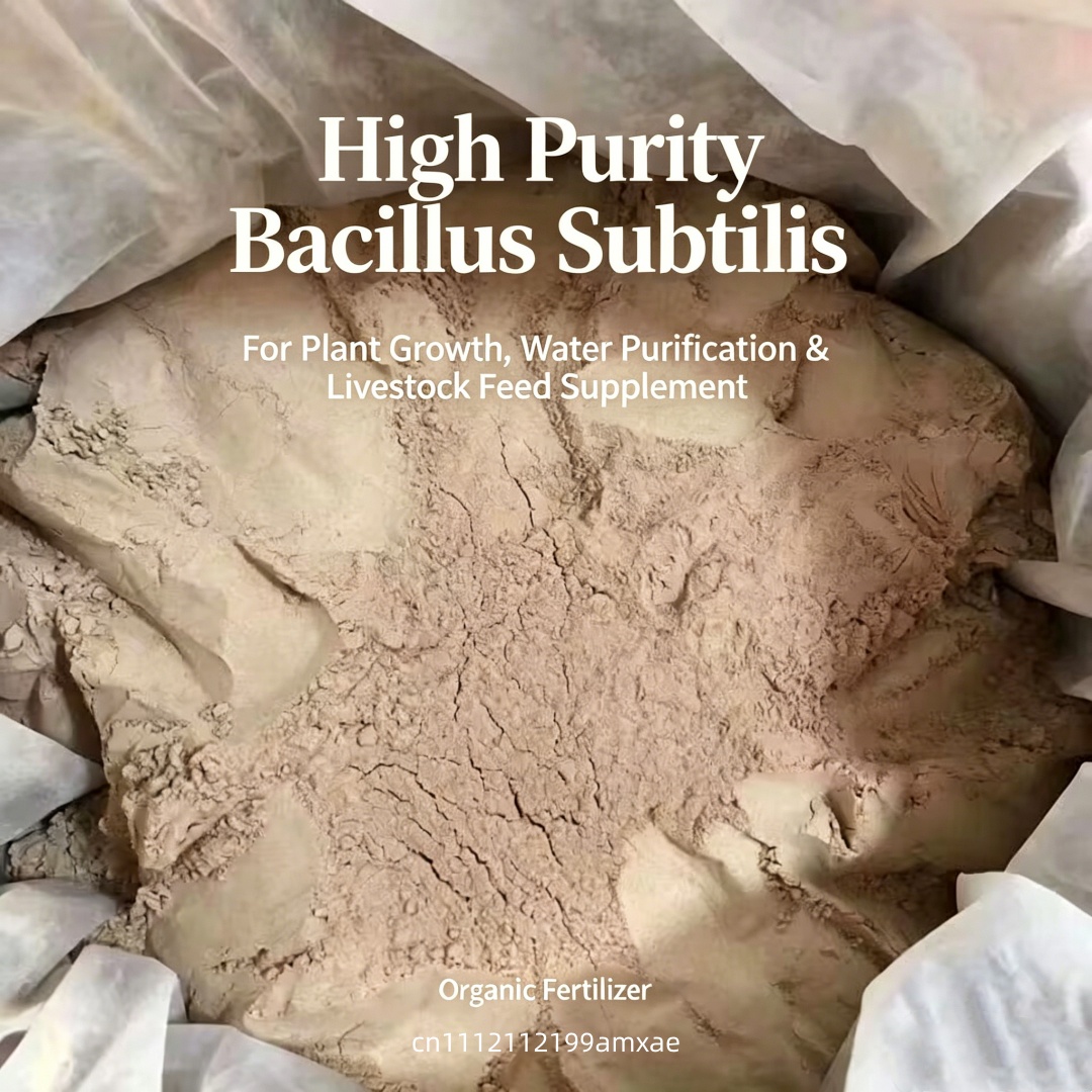 High Activity Bacillus Subtili - مراجعة Aquarium Plant Fertilizer وسعره