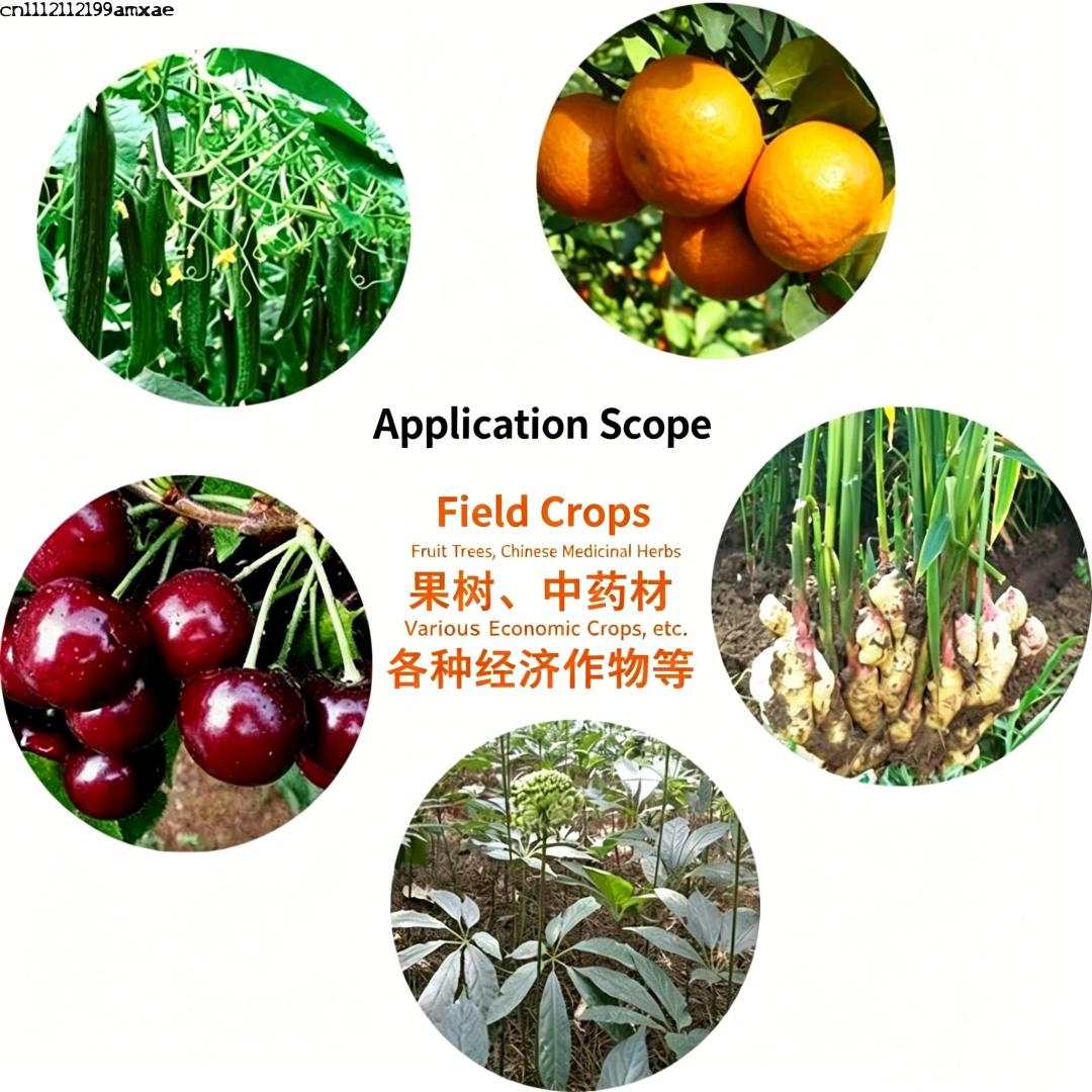High Activity Bacillus Subtili - مراجعة Aquarium Plant Fertilizer وسعره