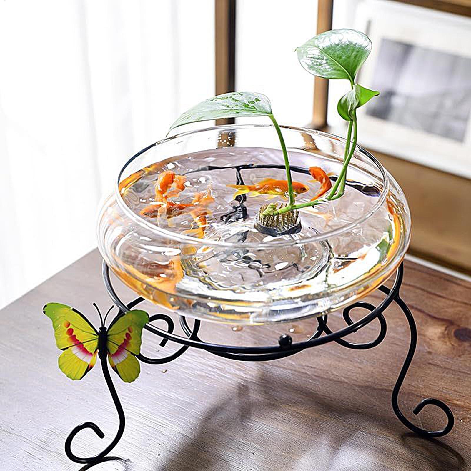Fish Glass Bowl Glass Large Hy - مراجعة Planted Aquarium With Fish وسعره