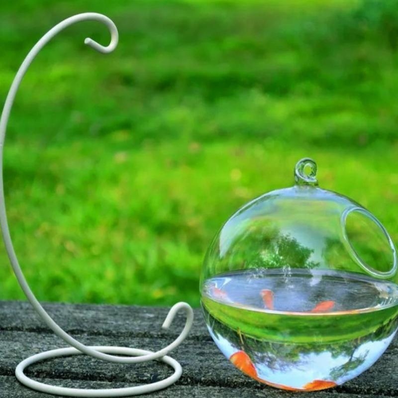Transparent Spherical Glass Ha - مراجعة Planted Aquarium Bowl وسعره