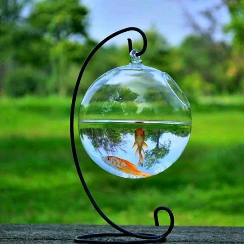 Transparent Spherical Glass Ha - مراجعة Planted Aquarium Bowl وسعره