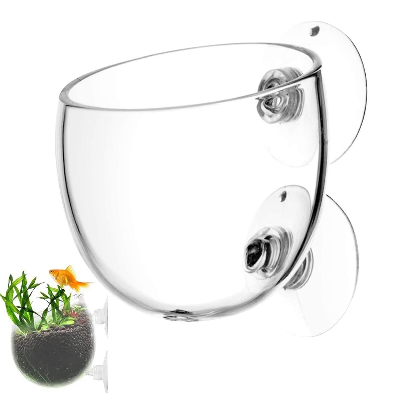 Aquarium Glass Plant Pot with  - مراجعة Aquarium Plant Vine وسعره