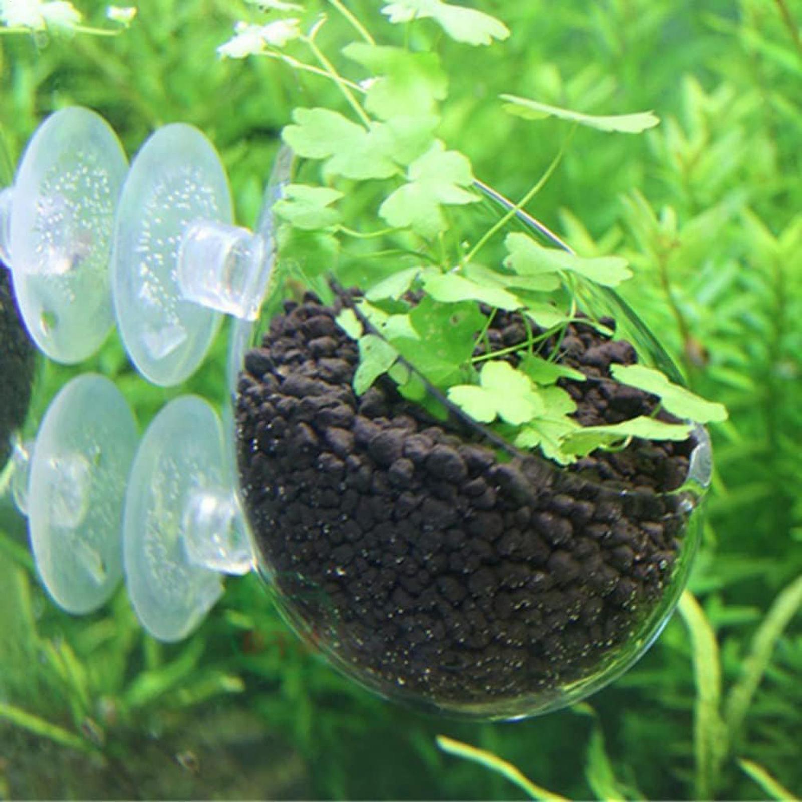 Aquarium Glass Plant Pot with  - مراجعة Aquarium Plant Vine وسعره