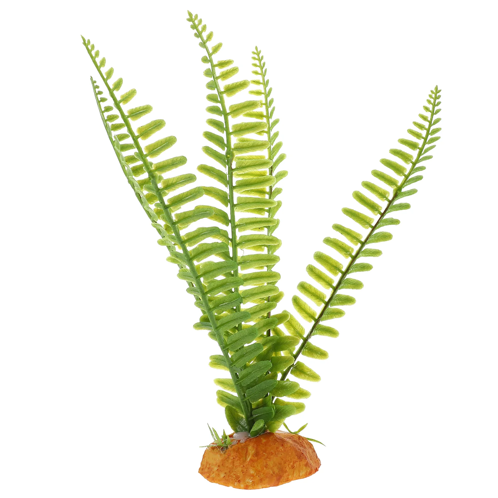 Reptile Plants Terrarium Vines - مراجعة Aquarium Plant Vine وسعره