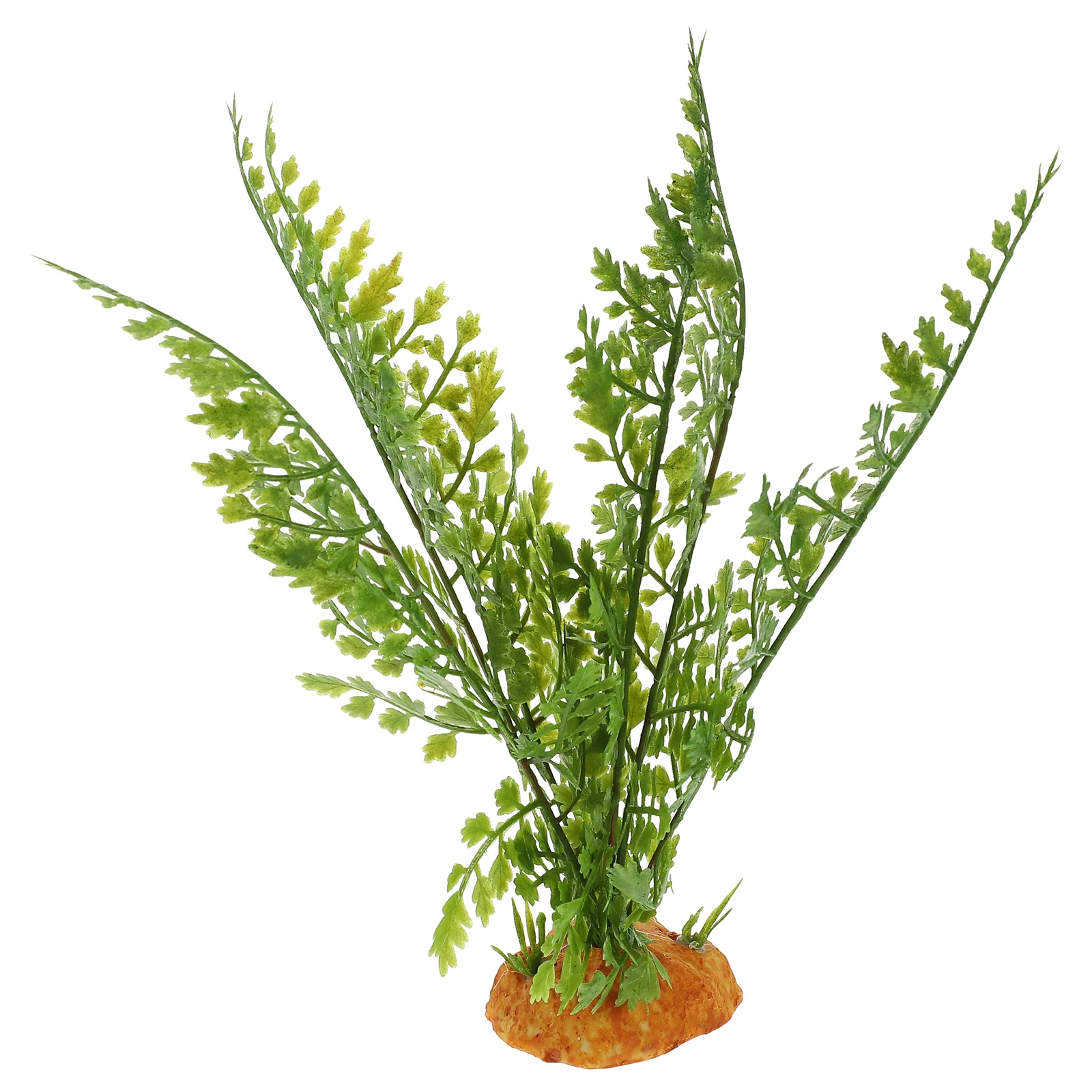 Reptile Plants Terrarium Vines - مراجعة Aquarium Plant Vine وسعره