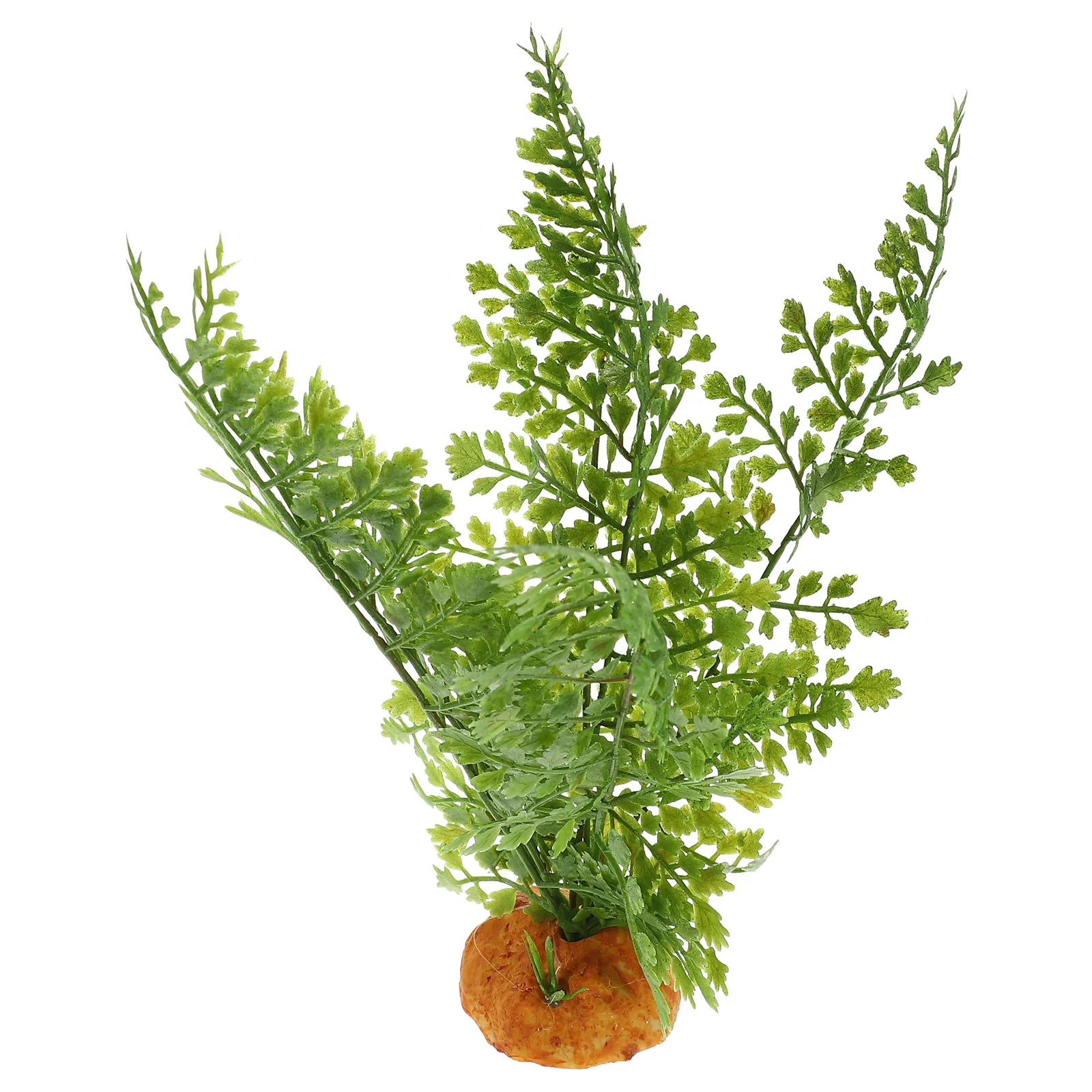 Reptile Plants Terrarium Vines - مراجعة Aquarium Plant Vine وسعره