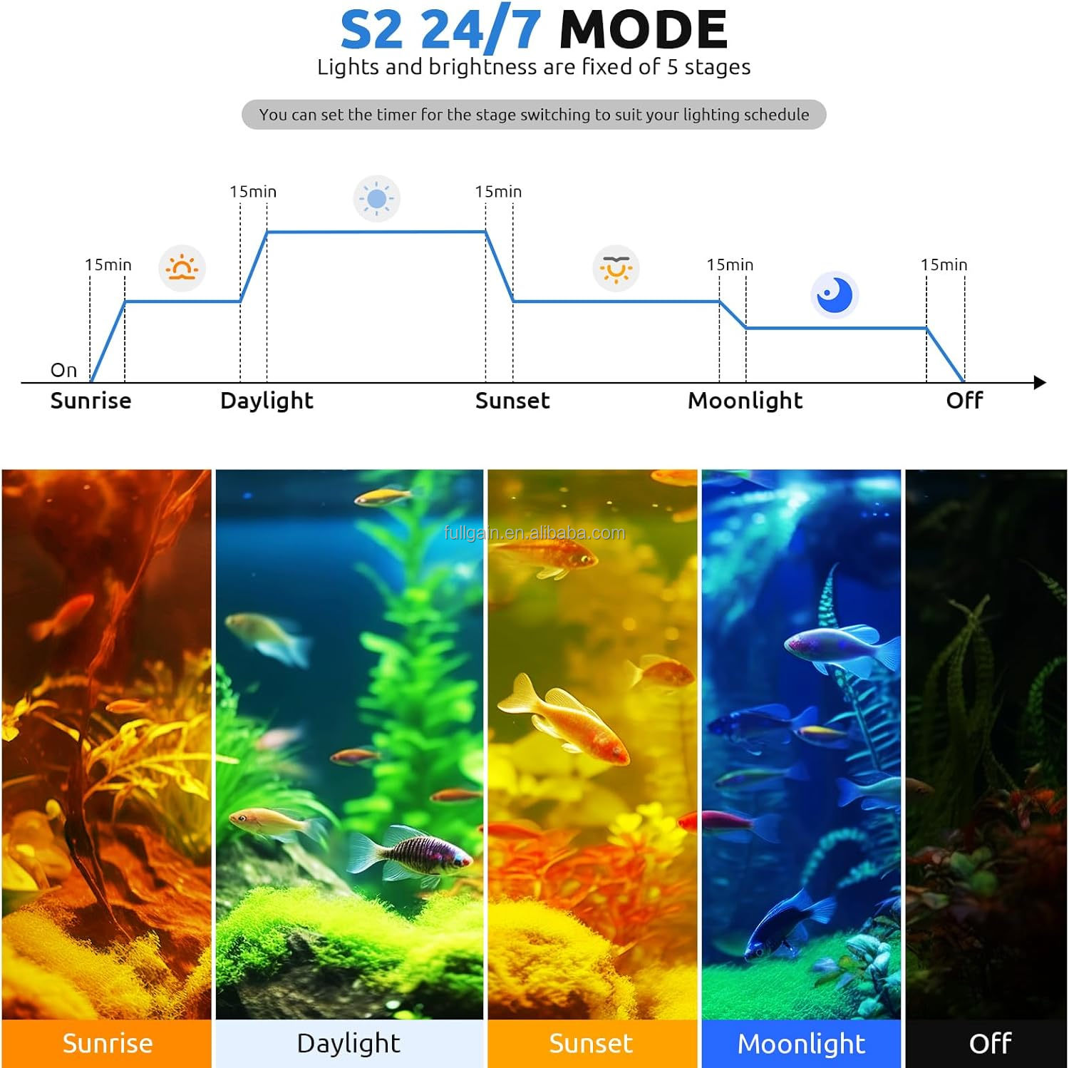 FG199 2025 New Alloy High Watt - مراجعة Planted Aquarium With Fish وسعره