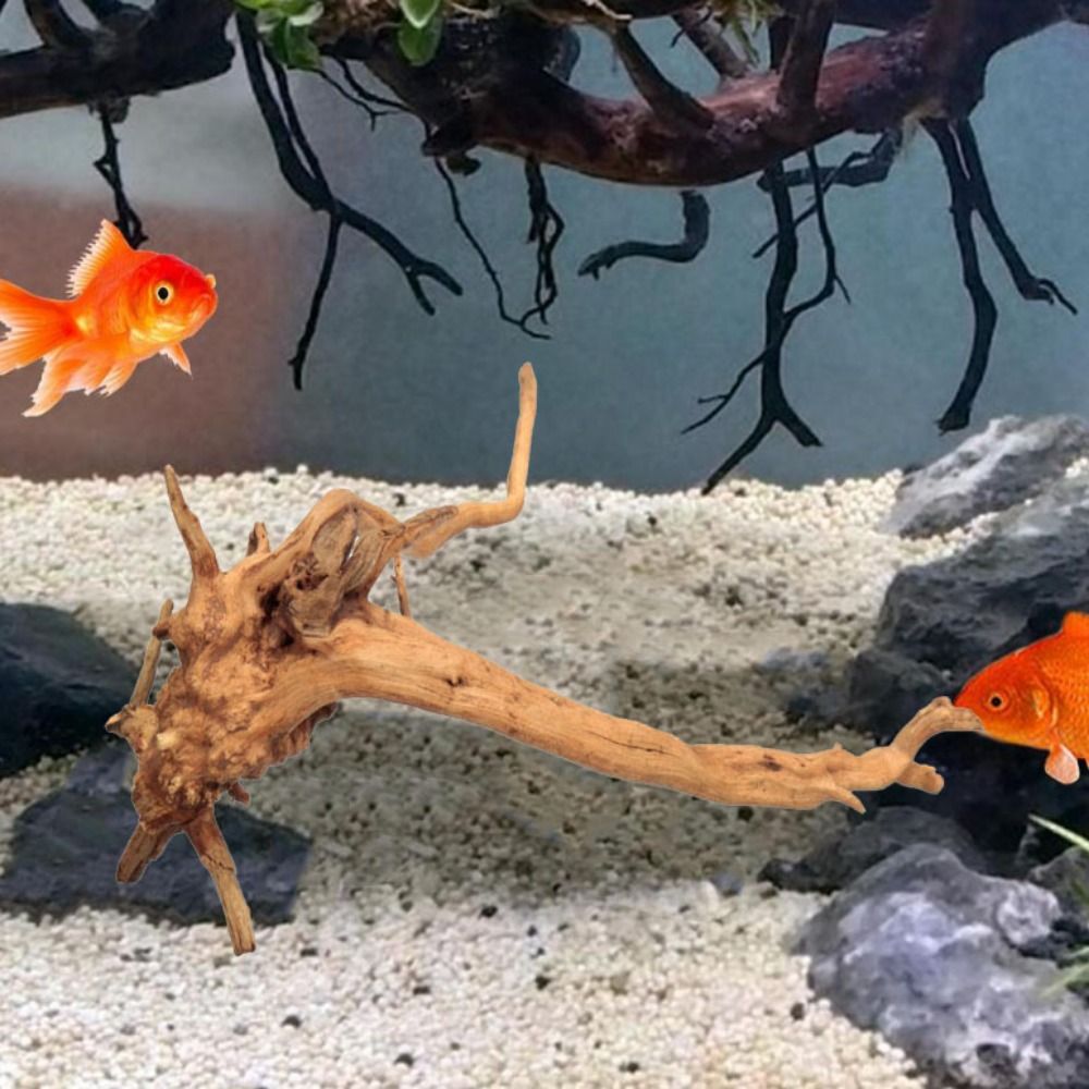 20-25CM Large Aquarium Driftwo - مراجعة Planted Aquarium Bowl وسعره