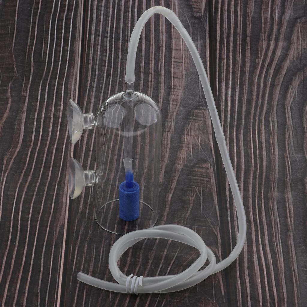 CO2 Diffuser System for Aquari - مراجعة Planted Aquarium Co2 System وسعره