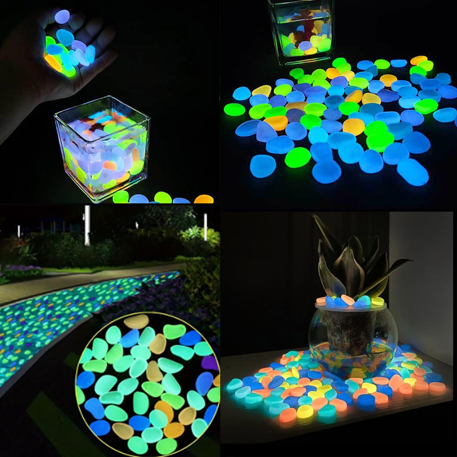 Aquarium Decor Glow In The Dar - مراجعة Planted Aquarium With Fish وسعره