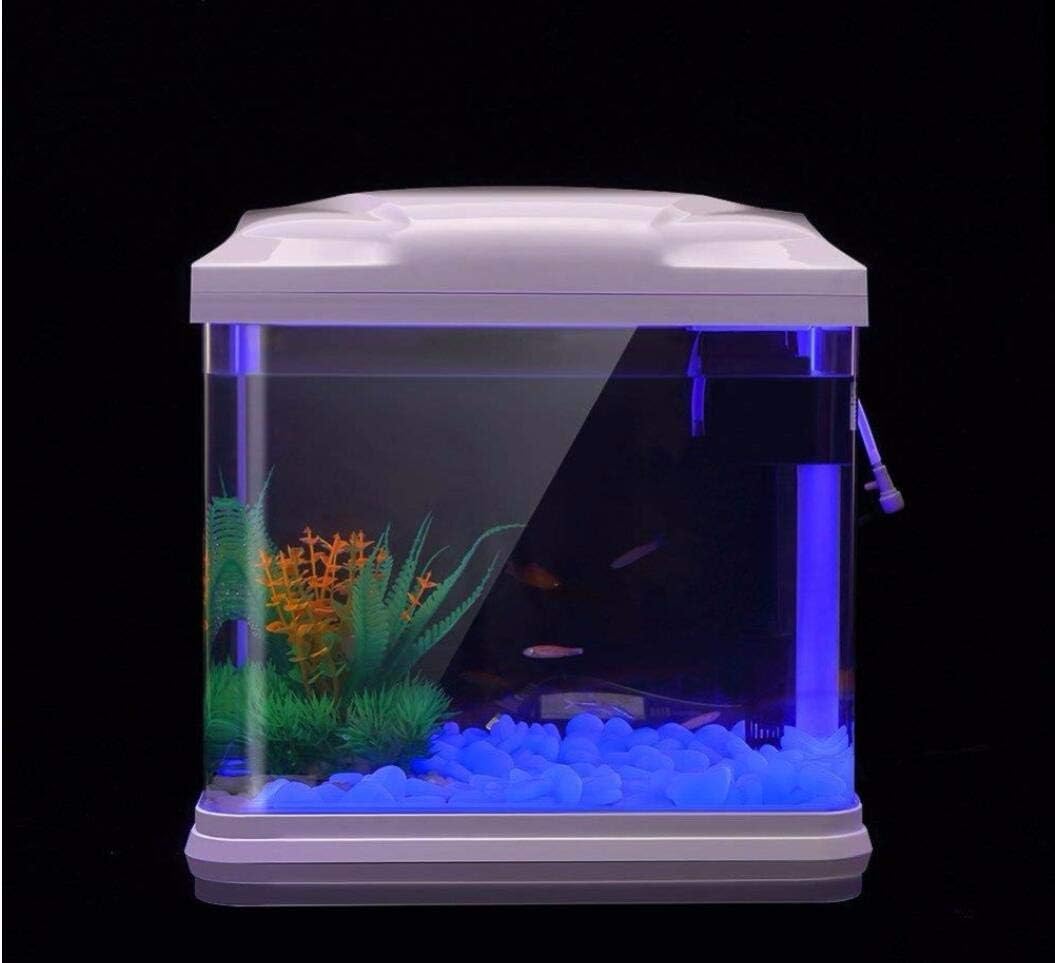 Fish Tank Rocks Glow Blue Pebb - مراجعة Planted Aquarium With Fish وسعره