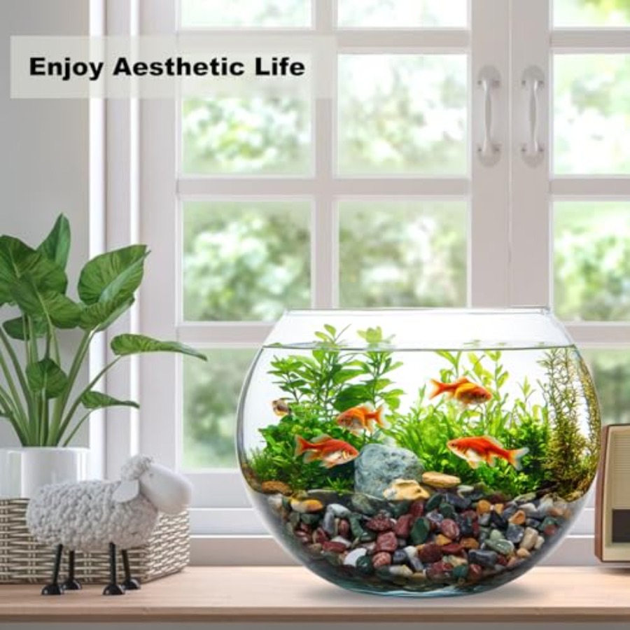45LB Succulents Rocks for Plan - مراجعة Planted Aquarium With Rocks وسعره